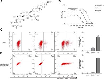 Dioscorea Zingiberensis New Saponin Inhibits the Growth of Hepatocellular Carcinoma by Suppressing the Expression of Long Non-coding RNA TCONS-00026762